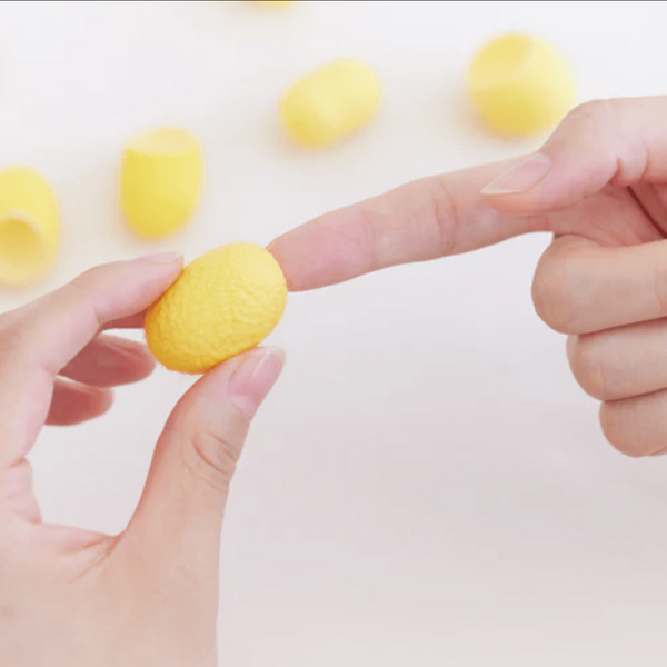 Mayucoi Golden Silk Cocoons