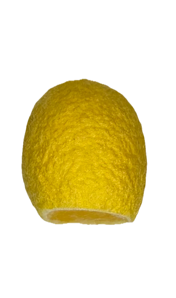 Mayucoi Golden Silk Cocoons